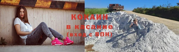 крисы Аркадак